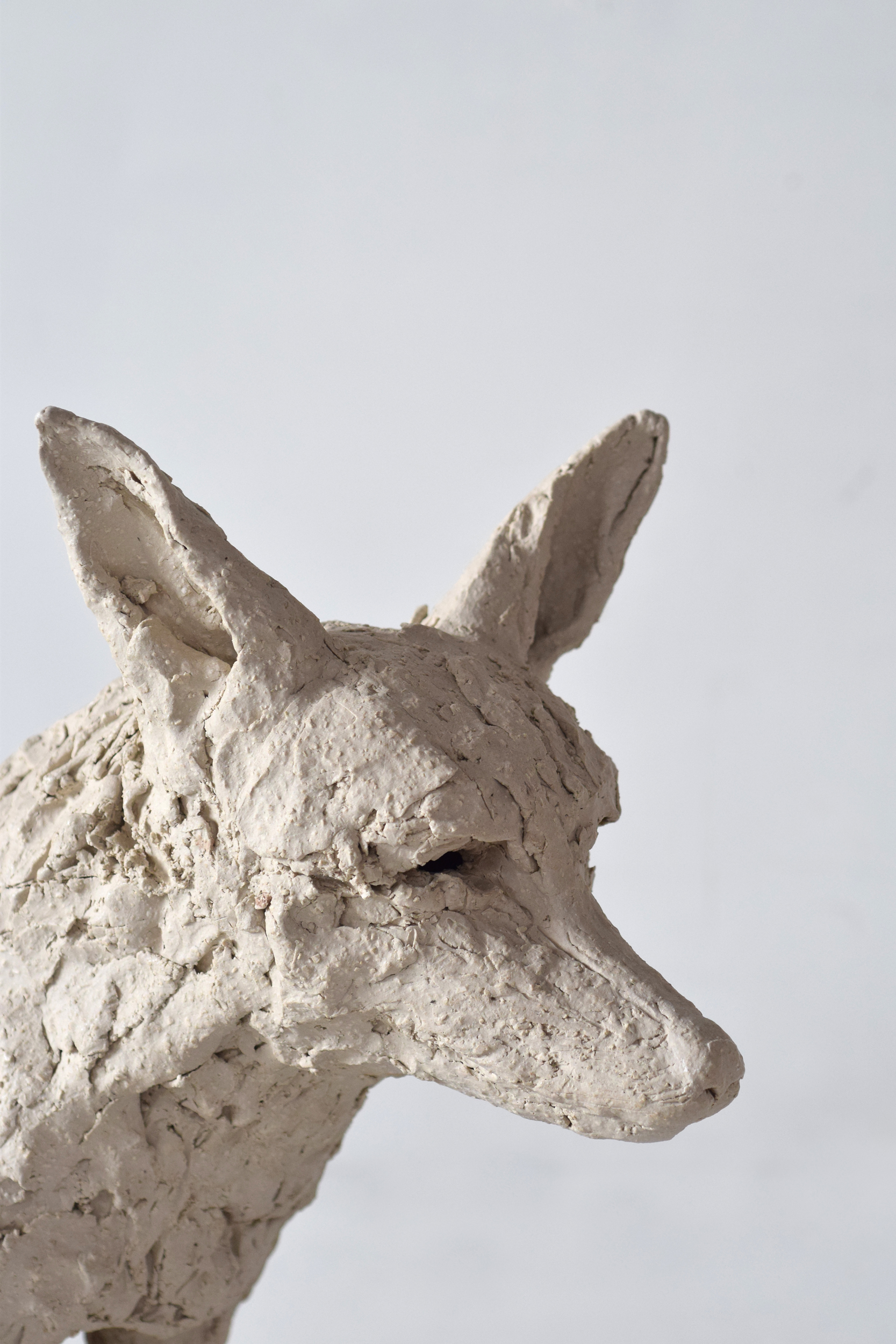 Close-up on the face of an off-white fox sculpture against a white background